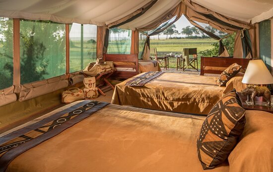 Irungu forest safari lodge